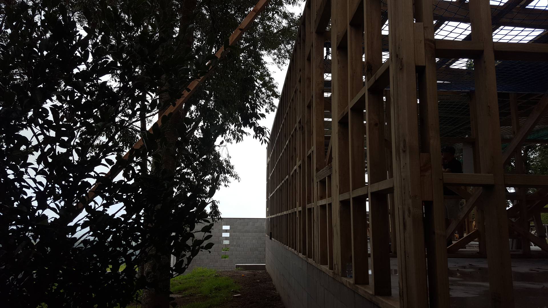 Te Puke House Herbst Architects