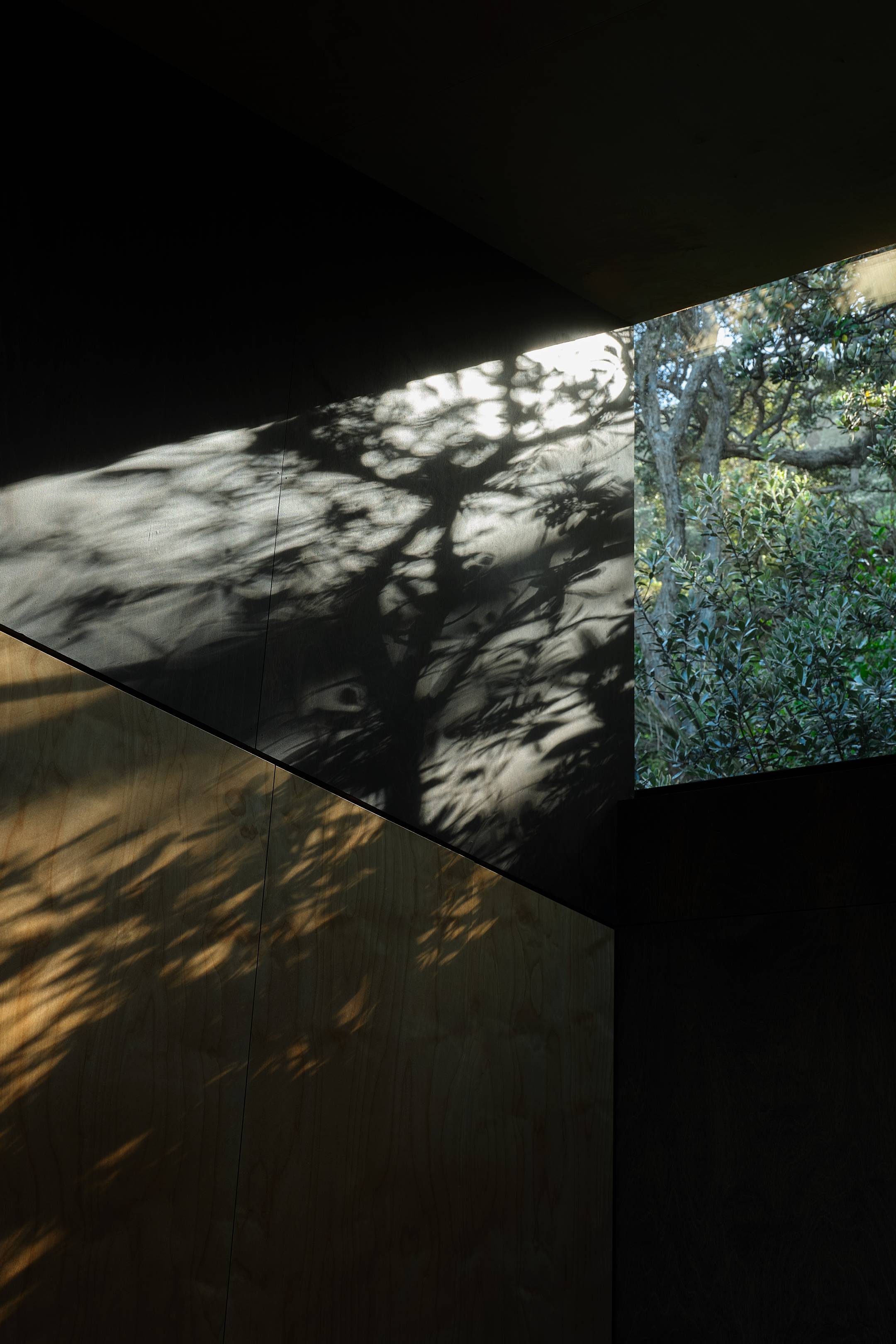 Kawakawa House Piha by Herbst Architects